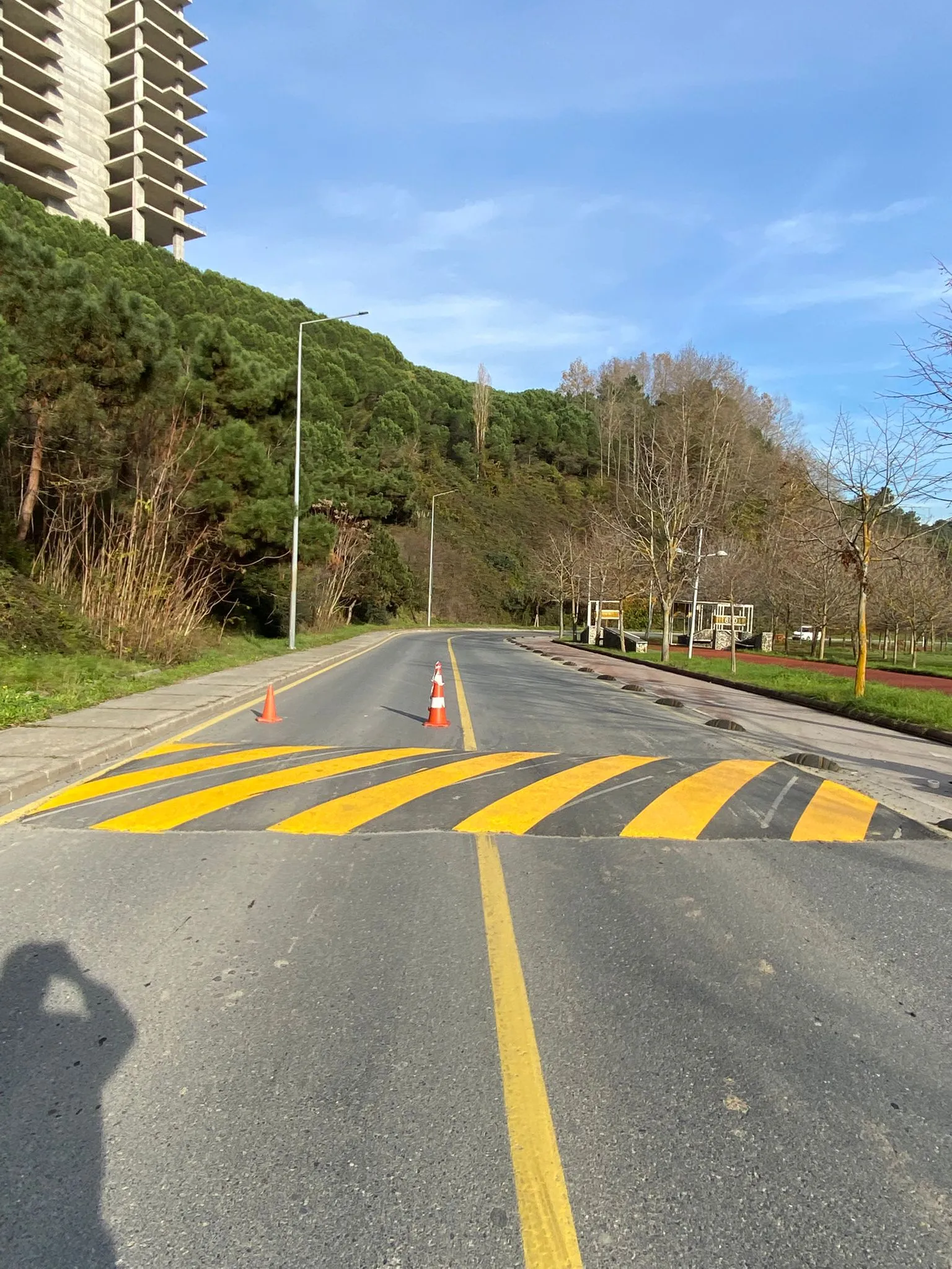 Kasis ve yol çizgilerin boyanması.